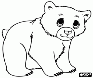 Omalovánka Medvídě, baby medvěd